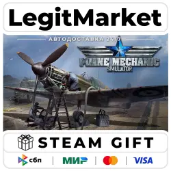 Plane Mechanic Simulator / Steam АВТО / МИР