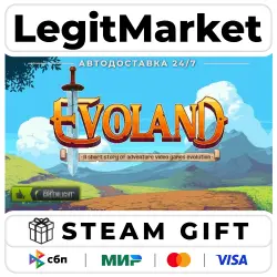 Evoland / Steam AUTO / RU + WORLD