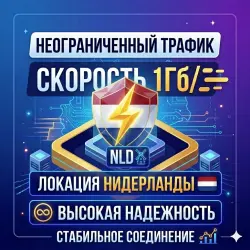 VPN NIDERLAND | VLESS TCP REALITY | 3 Users | up to 10 Gbps | 1 Month
