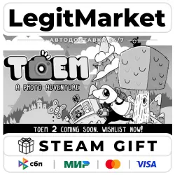 TOEM: A Photo Adventure / Steam АВТО / РУ + МИР