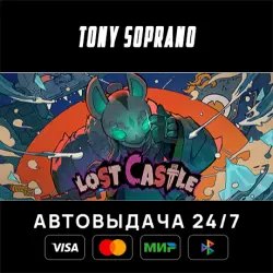 Lost Castle Choose Regions Auto-Delivery 24/7