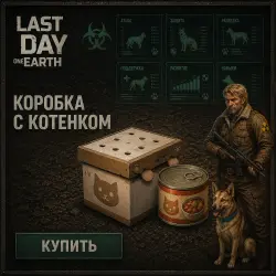IOS/ANDROID | КОРОБКИ С КОТЕНКОМ