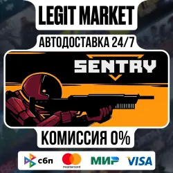 SENTRY / Steam АВТО / РУ + МИР