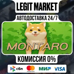Montaro / Steam АВТО / РУ + МИР