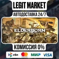 ELDERBORN / Steam АВТО / РУ + МИР