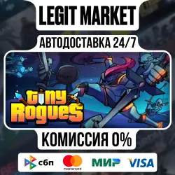 Tiny Rogues / Steam АВТО / РУ + МИР