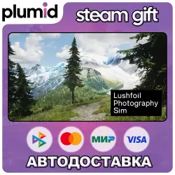 Lushfoil Photography Sim Steam Gift / Россия + МИР / АВТО