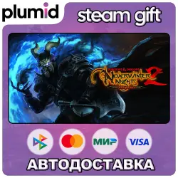 D&D Neverwinter Nights 2: Enhanced Edition Steam Gift / МИР / АВТО