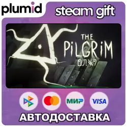 PILGRIM Steam Gift / Россия + МИР / АВТО
