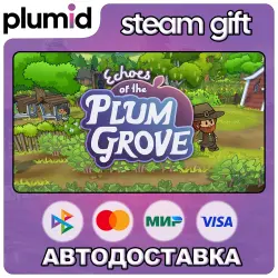Echoes of the Plum Grove Steam Gift / Россия + МИР / АВТО