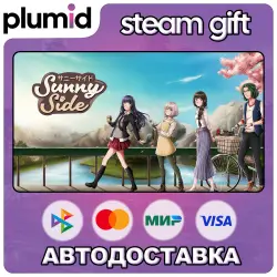 SunnySide Steam Gift / Россия + МИР / АВТО