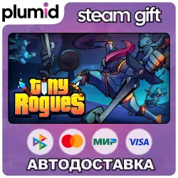 Tiny Rogues Steam Gift / Россия + МИР / АВТО