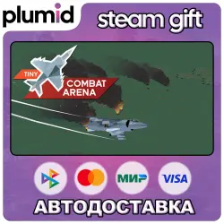 Tiny Combat Arena Steam Gift / Россия + МИР / АВТО