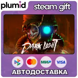 Dark Light Steam Gift / Россия + МИР / АВТО
