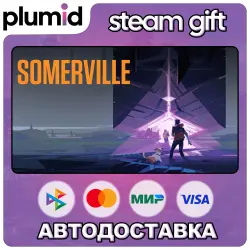Somerville Steam Gift / Россия + МИР / АВТО