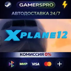 X-Plane 12・SELECT REGION・STEAM GIFT AUTO・