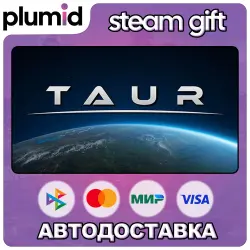 Taur Steam Gift / Россия + МИР / АВТО