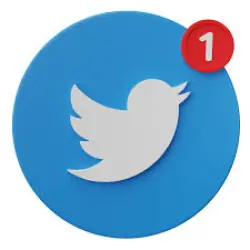 Twitter (X) Accounts | Blocked | SMS Verified | Registered 2023 | MIX Gender/IP