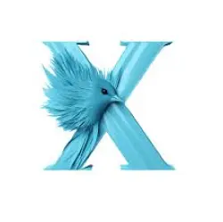 Twitter (X) Accounts | 2025 | Email Verified (Firstmail) | High Quality