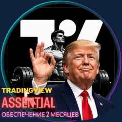 Двухмесячная подписка TradingViewer Essential (е использование)