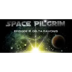 SPACE PILGRIM EPISODE III DELTA PAVONIS REGION FREE STEAM Ключ