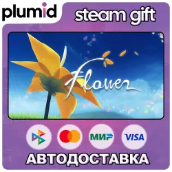Flower Steam Gift / Россия + МИР / АВТО