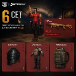 2 шт. ФУЛ 6 СЕТОВ + 2 ЛЮБЫХ ОРУЖИЯ НА ВЫБОР • [Metro Royale]