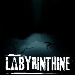 Labyrinthine (Steam Account) + Email change
