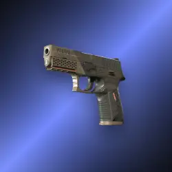 P250 | Bullfrog | Немного поношенное