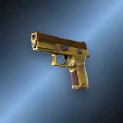 P250 | Sedimentary | После полевых испытаний
