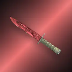 Bayonet | Slaughter | Немного поношенное