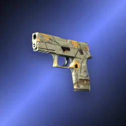 P250 | Modern Hunter | После полевых испытаний