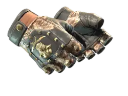 Bloodhound Gloves | Snakebite | Закалённое в боях