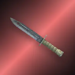 StatTrak Bayonet | Stained | Немного поношенное