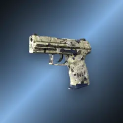P2000 | Granite Marbleized | Закалённое в боях