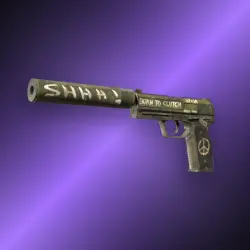 StatTrak USP-S | Flashback | Немного поношенное