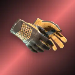 Driver Gloves | Overtake (Field-Tested)