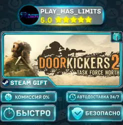 Door Kickers 2: Task Force North *RU/BY/UA/СНГ Steam Auto