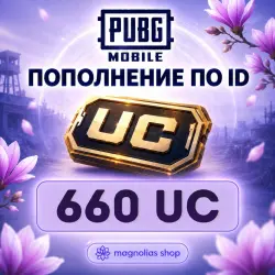 (AUTO) 24/7 660 UC | TOP-UP BY ID (copy)
