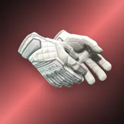 Specialist Gloves | Pillow Punchers | Поношенное