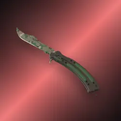 Butterfly Knife | Forest DDPAT | После полевых испытаний