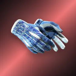 Sport Gloves | Amphibious | После полевых испытаний