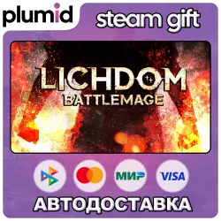 Lichdom: Battlemage Steam Gift / Россия + МИР / АВТО