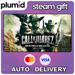 Call of Juarez: Bound in Blood Steam Gift / Russia + WORLD / AUTO
