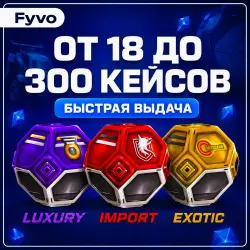 Cases | 18 to 300 Pieces | Exotic Import Luxury