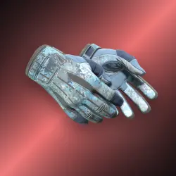 Sport Gloves | Frosty | Немного поношенное