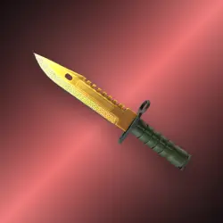 M9 Bayonet | Lore | Поношенное