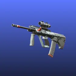 AUG | Trigger Discipline (Well-Worn)