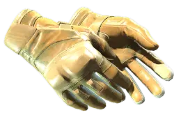 Moto Gloves | Transport (Field-Tested)