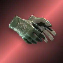 Driver Gloves | Racing Green | Немного поношенное